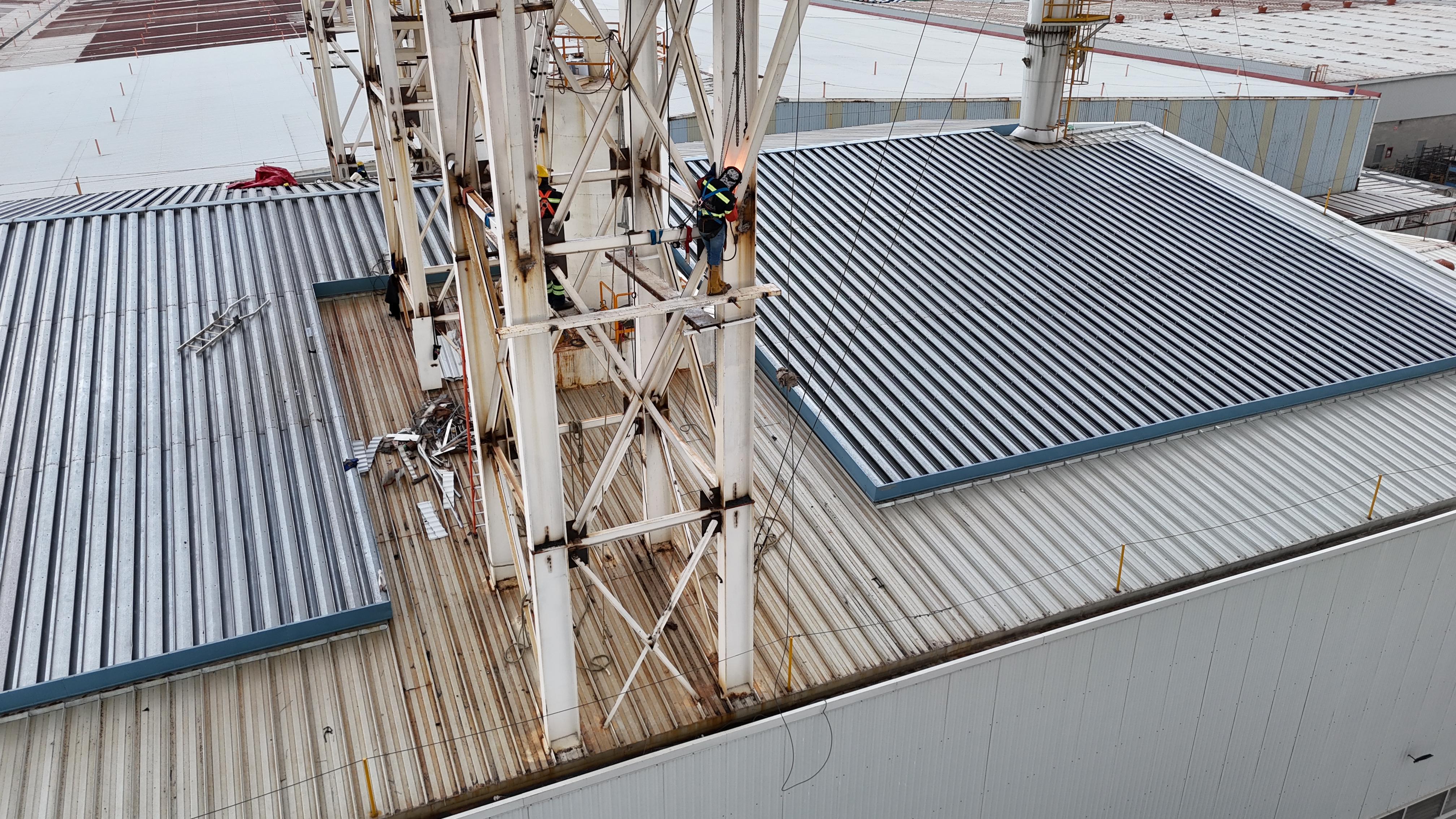 Global Tesca field personnel on an industrial project